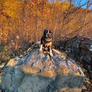 Meet your Posher, Jj